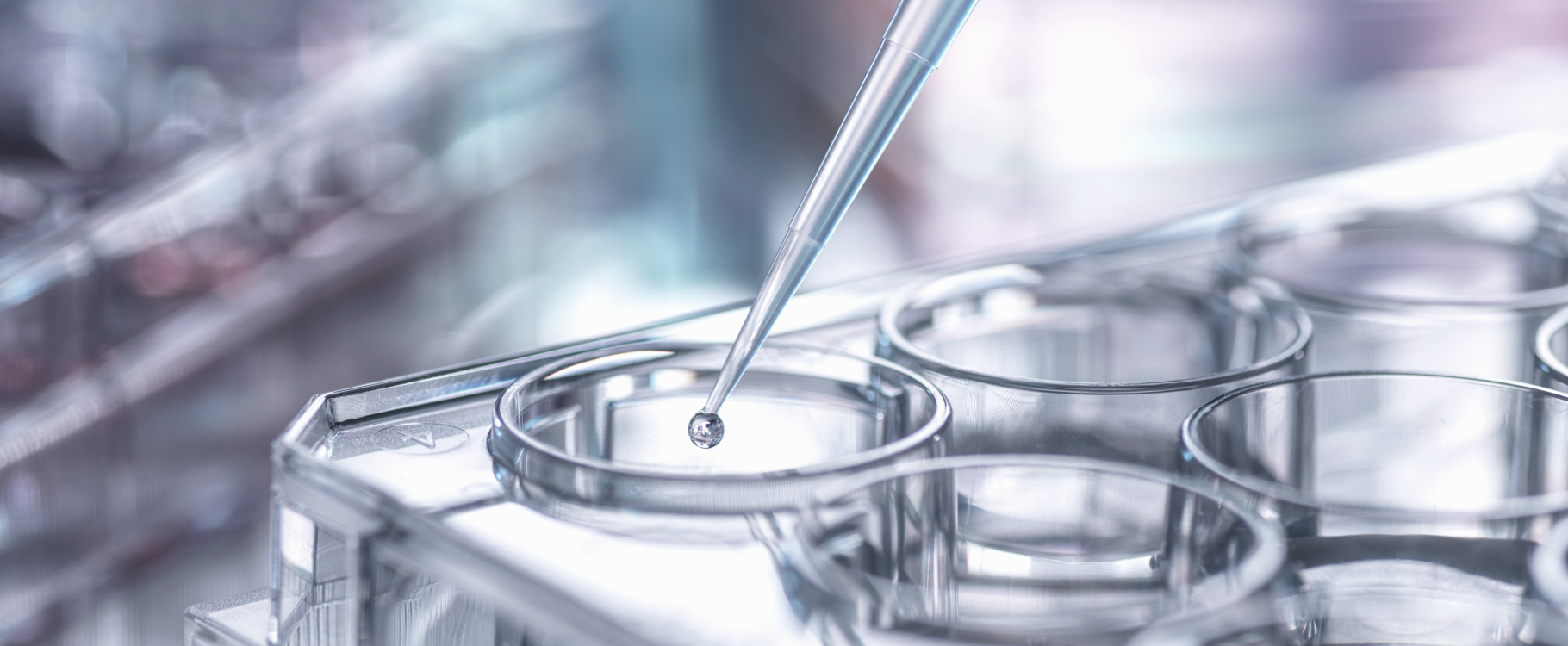 lab image